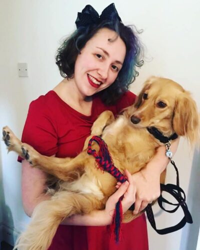 Pet harness and lead
